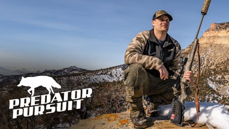 Predator Pursuit