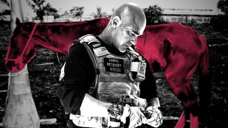 The Bruce Wayne of Florida’s Animal-Slaughter Underworld