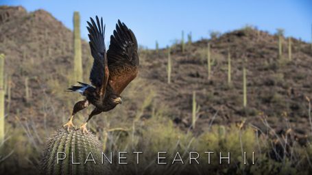 Planet Earth II