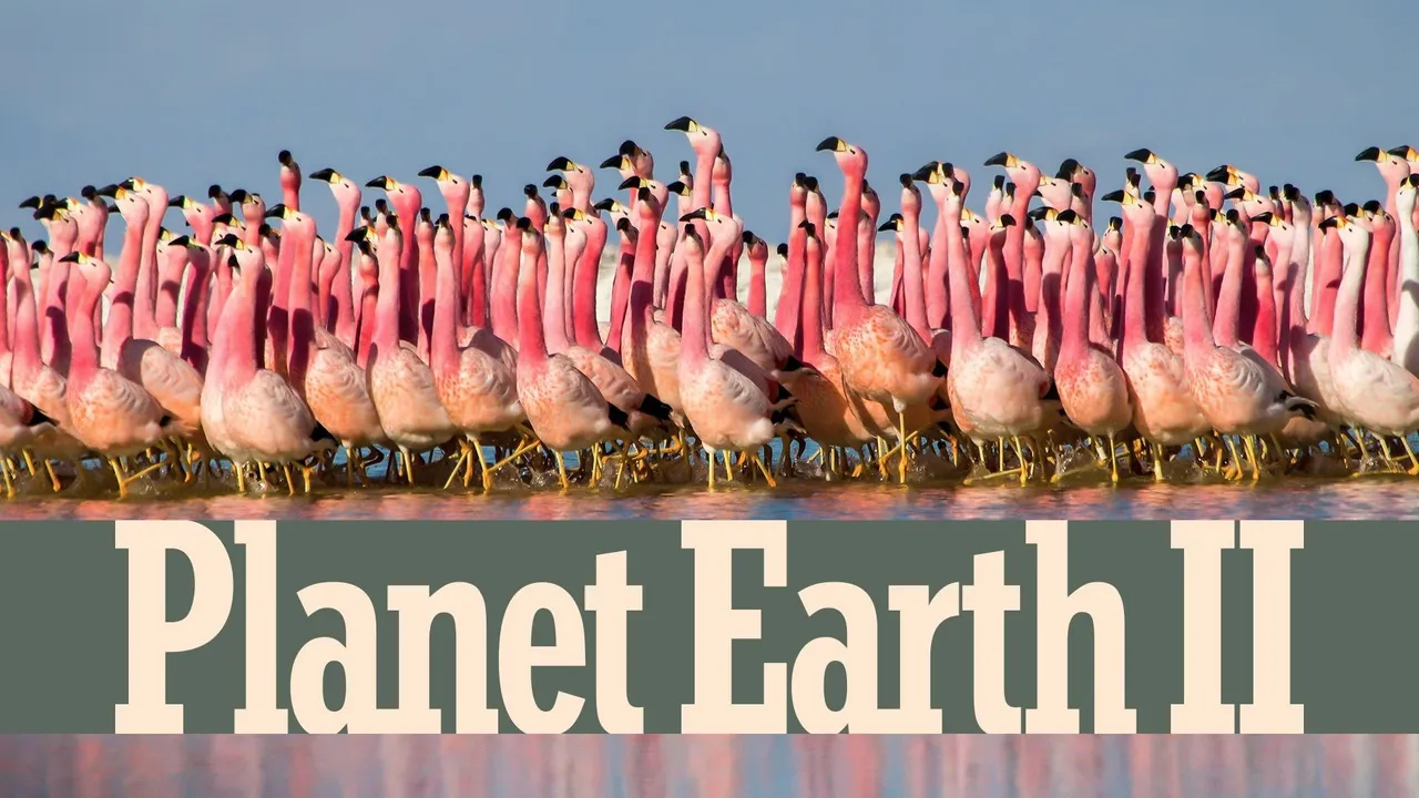 How to watch and stream Planet Earth II - 2016-2024 on Roku