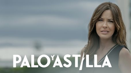 Palo y astilla
