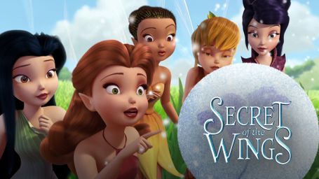 Secret of the Wings