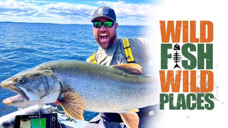 Wild Fish Wild Places