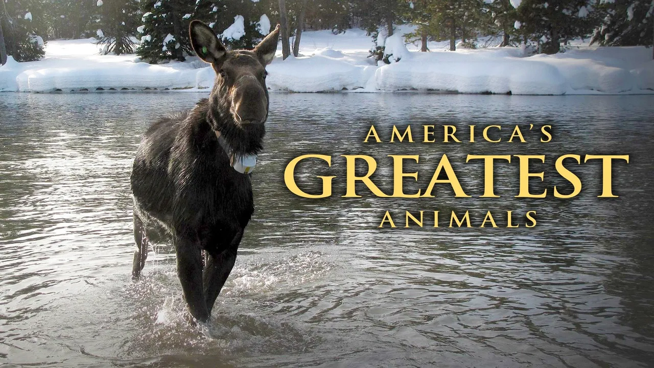 America's Greatest Animals