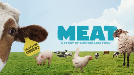 Meat
