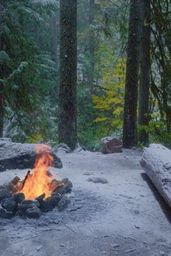 Campfire in the Woods –TV Screensavers/Wallpapers with Relaxing Forest Sounds, Coziness of Flames & Crackling Sounds