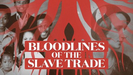 Bloodlines of the Slave Trade