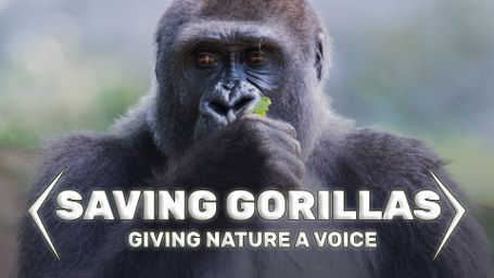 Saving Gorillas: Giving Nature a Voice