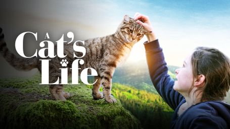 A Cat's Life - Norsk tale