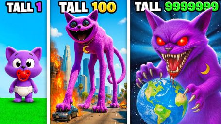 Catnap Size Evolution