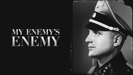 My Enemy's Enemy