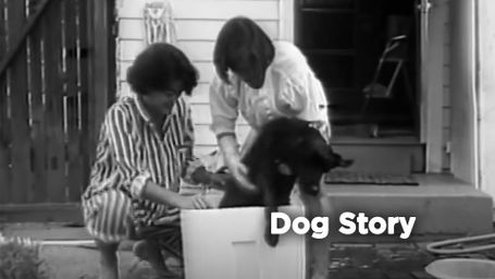 Dog Story