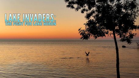 Lake Invaders: The Fight for Lake Huron
