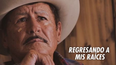Regresando a mis raíces