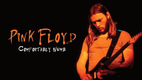 Pink Floyd : Comfortably Numb