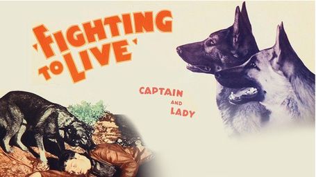 Fighting to Live