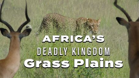 Africas Deadly Kingdom: Grass Plains