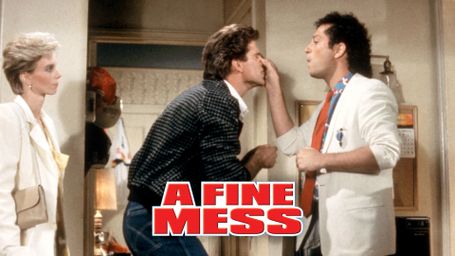 A Fine Mess