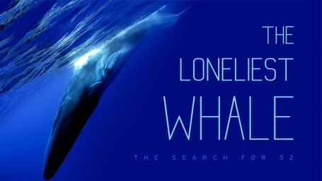 The Loneliest Whale: The Search for 52