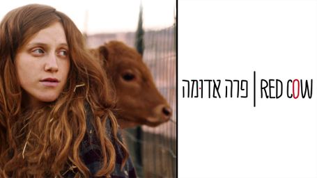Red Cow
