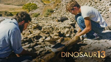 Dinosaur 13