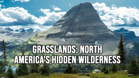 Grasslands: North America's Hidden Wilderness