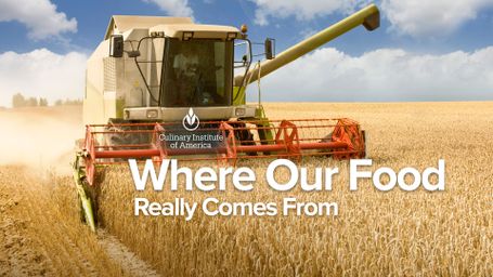 Where Our Food Really Comes From