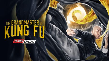 The Grandmaster of Kungfu