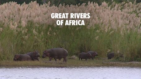 Great Rivers of Africa