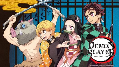 Demon Slayer: Kimetsu no Yaiba