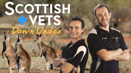 Scottish Vets Down Under