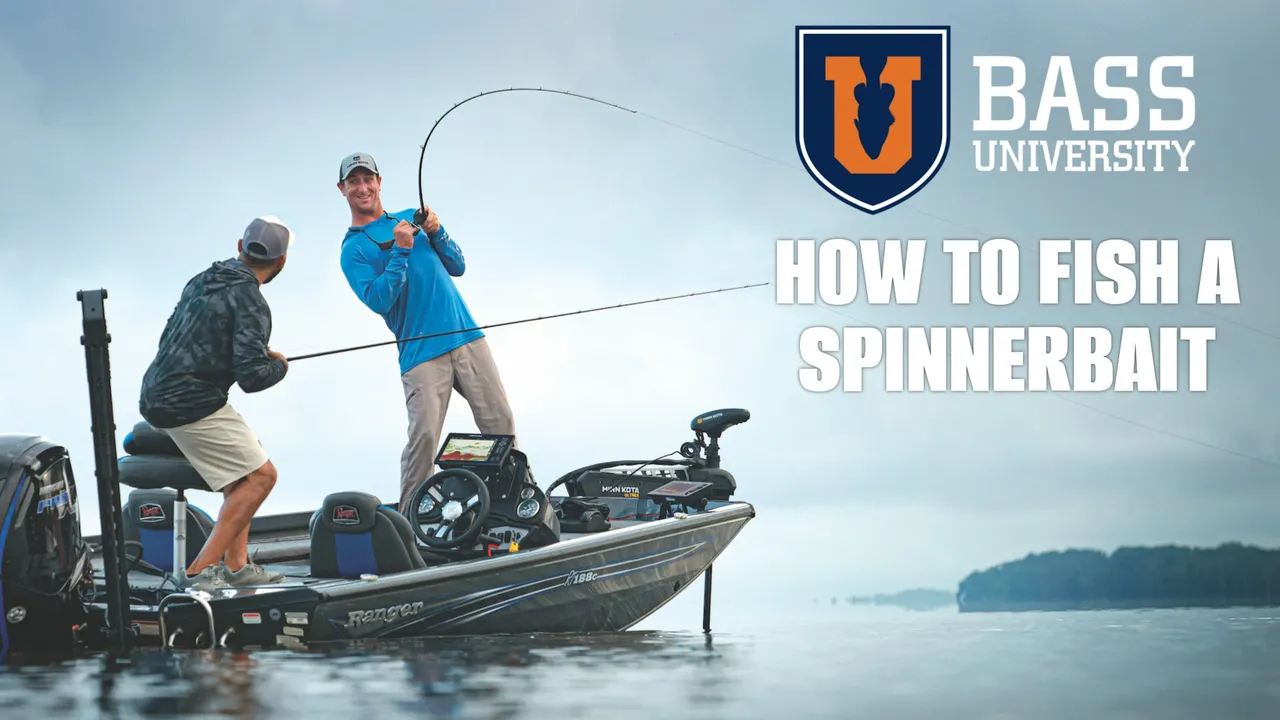 Spinnerbait Bass Fishing