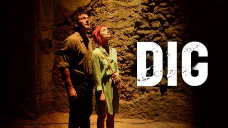 Dig