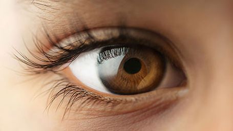 The Illusion of Coherence-How We See