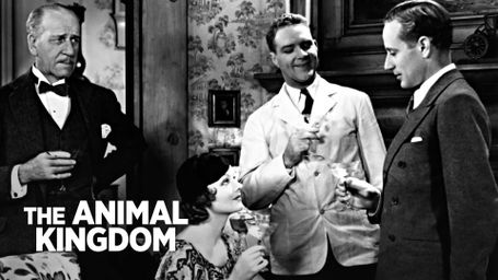 The Animal Kingdom