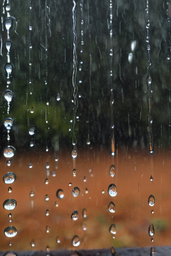 Nature Sounds: Rain Sounds One Hour for Sleeping, Sleep Aid for Everybody