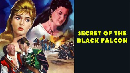 Secret of the Black Falcon