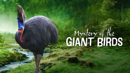 The Mystery of the Giant Birds