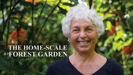 The Home-Scale Forest Garden