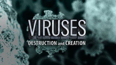 Viruses: Destruction and Creation