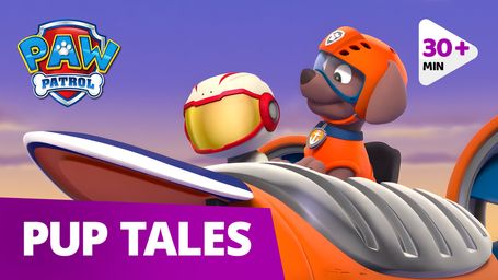 Paw Patrol Adventures - Pups on a Rescue Mission!
