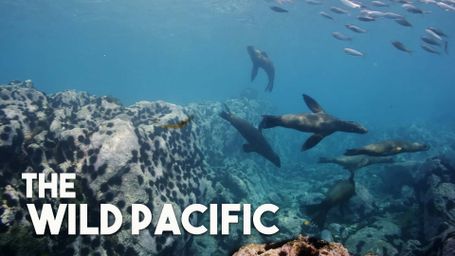 The Wild Pacific