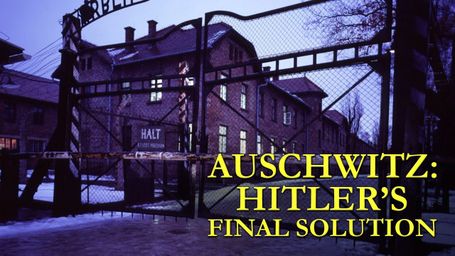 Auschwitz: The Nazis and the Final Solution