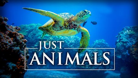 Just Animals