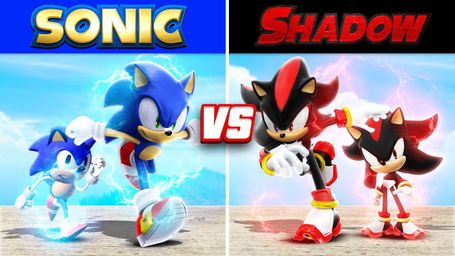 Sonic vs Shadow Family