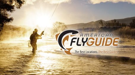 American Fly Guide