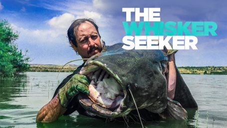 The Whisker Seeker