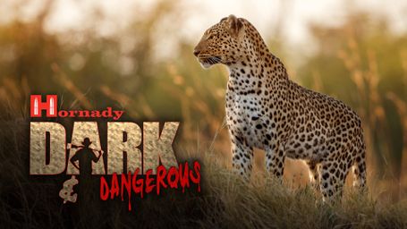 Hornady's Dark and Dangerous