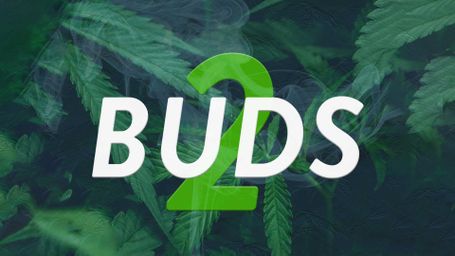 Buds 2