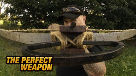The Perfect Weapon